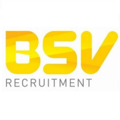 BSV Recruitment Limited
