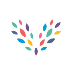 Verve Foundation Ltd